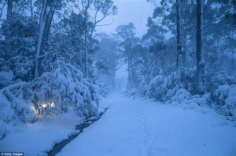 Breathtaking photographs show Cradle Mountain blanketed in snow | Mountain pictures, Snow, Tasmania