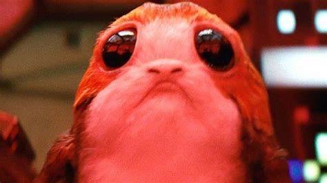 ‘Star Wars: The Last Jedi’: What are Porgs? – Metro US