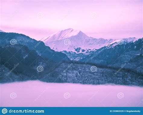 Surreal Purple Mountain with Dark Forest and Fog Stock Image - Image of conceptual, magical ...
