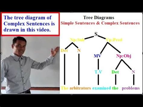 Learning English Grammars: Tree Diagrams - Simple &Complex - YouTube