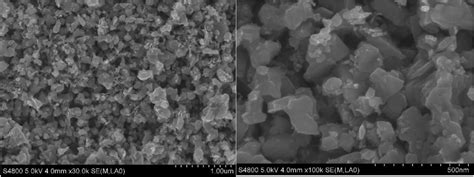 SEM image of SS-based FeS 2 electrode surface. | Download Scientific Diagram