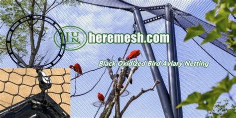 Wire Mesh For Birds, Aviary Wire Mesh, Bird Safe Wire Mesh