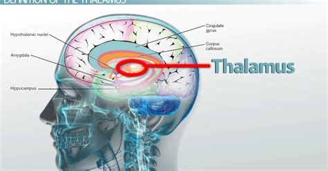 Ministry Team Tools 2: Brain Chemical Prayer