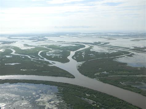 Mississippi River Delta Wetlands