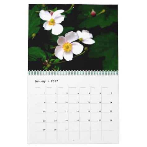 Flowers in Bloom Calendar | Zazzle