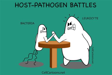 Host-Pathogen Battles - Cell Cartoons