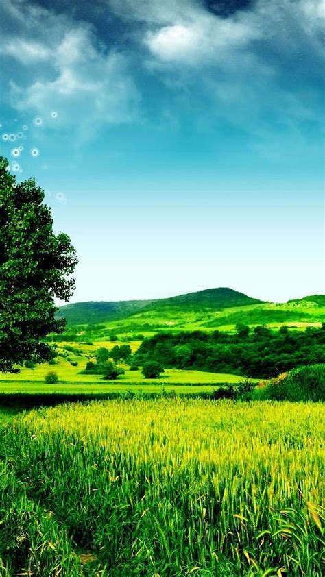 Wallpaper Android Nature Green - Best Mobile Wallpaper | Iphone ...