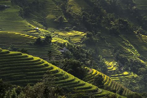 HD wallpaper: Machu Picchu, Peru, vietnam, rice, rice field, ha giang, terraces | Wallpaper Flare