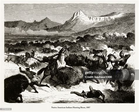 Indians Hunting Bison Native American Engraving 1887 High-Res Vector Graphic - Getty Images