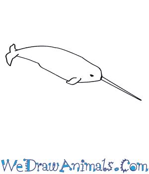 How to Draw a Narwhal