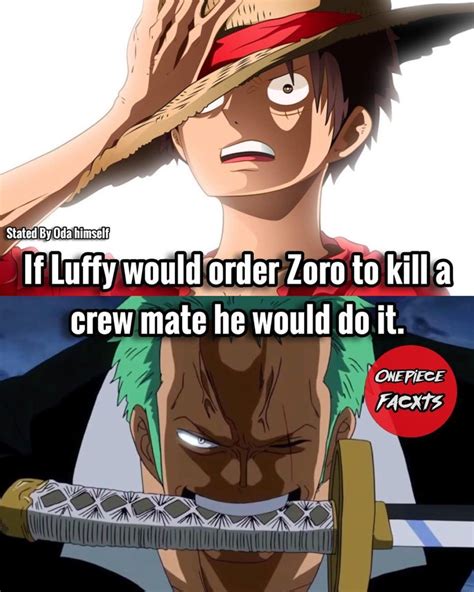 Pin by Ashley Bannister on One piece | One piece anime, Zoro, Luffy