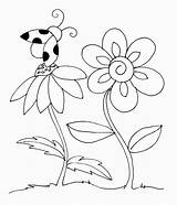 Coloring Book Pictures Printable  Pages sketch template