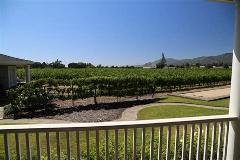 St Helena Winery - The Napa Wine Project