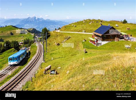 Arth–Rigi railway line rack railway train on Rigi mountain in Swiss ...