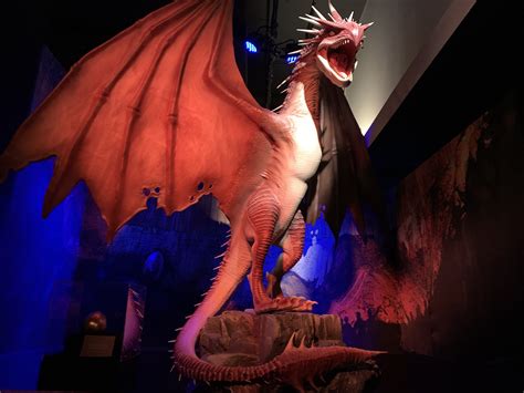 A first look at the incredibly immersive Harry Potter exhibit in NYC | Harlem Tourism Board