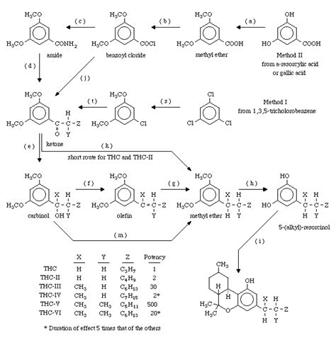 THC Synthesis - Overview