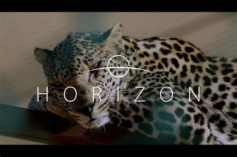 Saudi Arabia’s Ministry of Media launches Horizon documentary on ...