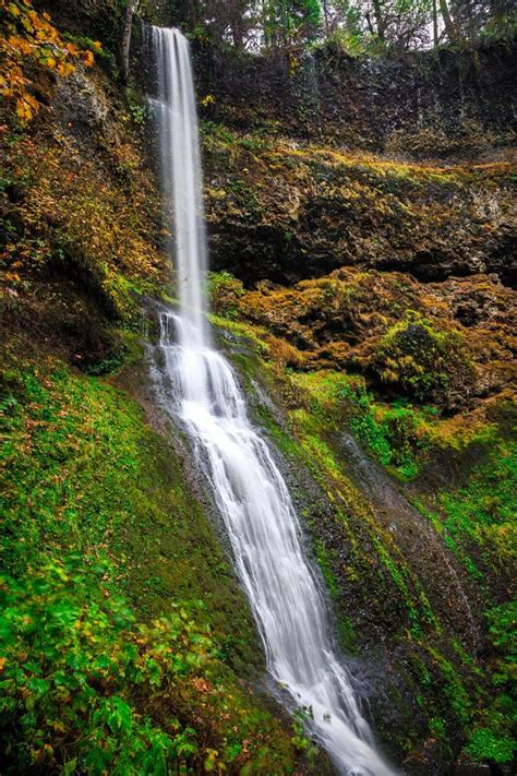 Winter Falls, Silver Falls State Park, Oregon Stock Image - Image of ...