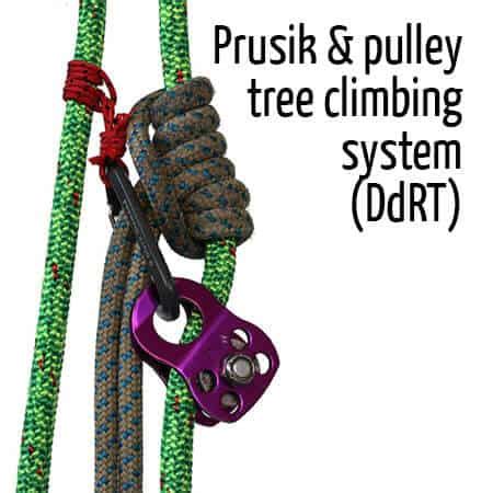 Advanced climbing techniques : ClimbingArborist.com