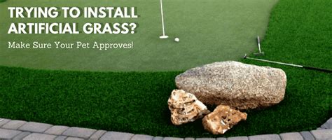 Trying to Install Artificial Grass? Make Sure Your Pet Approves | Centurion Stone of Arizona