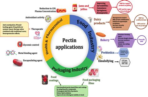 Principal applications of commercial pectin in food, packaging, and... | Download Scientific Diagram