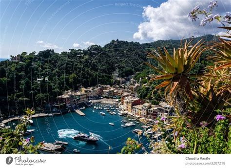 Portofino, viewed from Castle Brown - a Royalty Free Stock Photo from ...