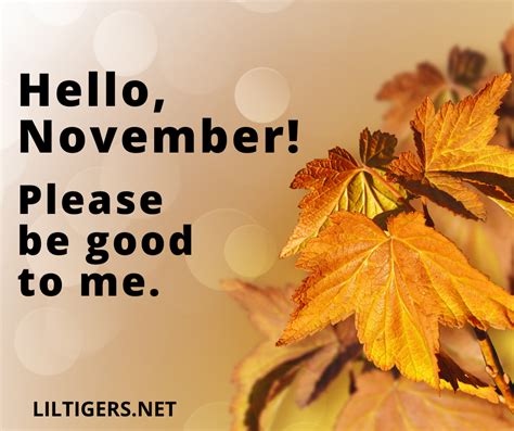 100 Inspirational Hello November Quotes, Sayings & Wishes 2022