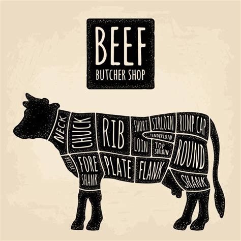 Beef Cuts Illustrations, Royalty-Free Vector Graphics & Clip Art - iStock