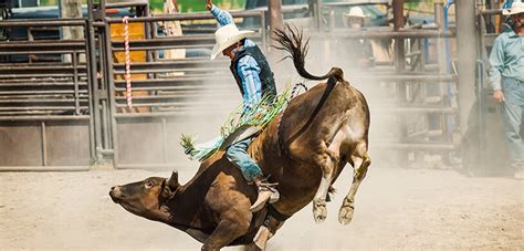 Worlds Oldest Rodeo Tickets | Vivid Seats