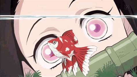 Nezuko X Zenitsu Nezuko GIF - Nezuko X Zenitsu Nezuko Goldfish ...