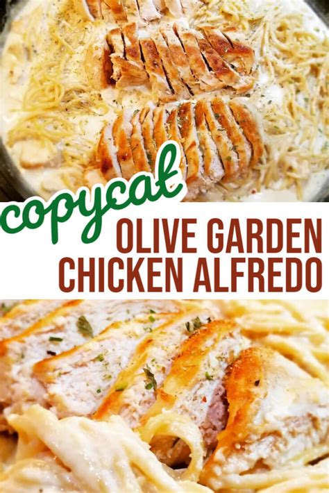 Olive Garden Chicken Alfredo Recipe (Easy, One Pot Meal!) - Parent ...