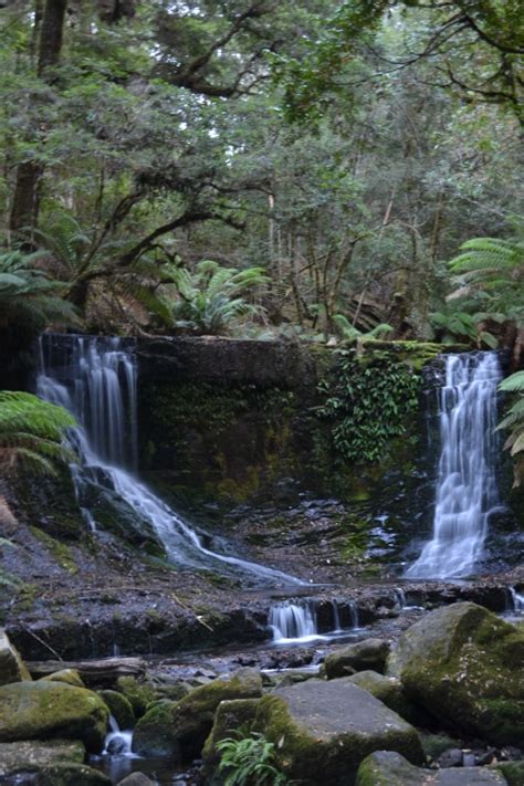 Tasmanian Devil Conservation Park | Living in Melbourne