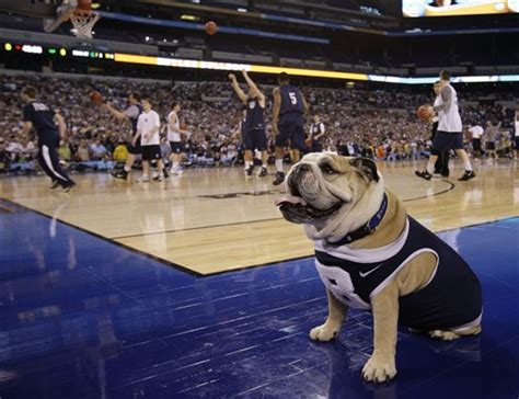 NCAA men's basketball: Butler's bulldog mascot impounded for regional ...