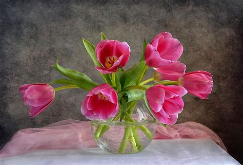 Download Pink Flower Vase Tulip Flower Photography Still Life HD Wallpaper