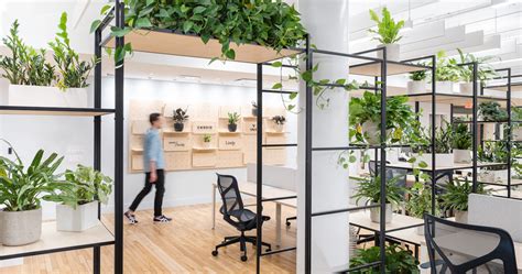 Biophilic Office Design: Bringing the Outdoors In