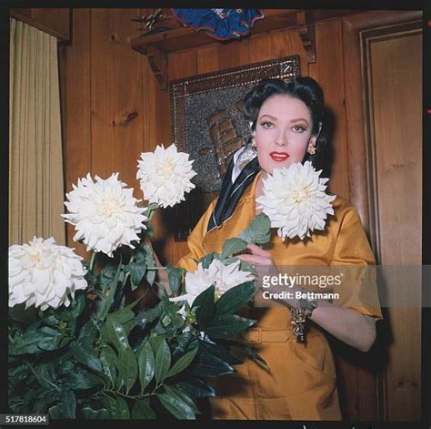 Actress Linda Darnell Photos and Premium High Res Pictures - Getty Images