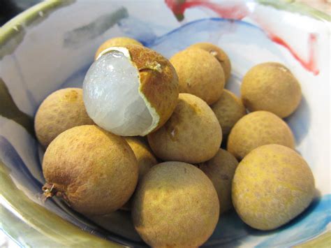 Longan fruit | Tropical fruits, Food, Food drink photography