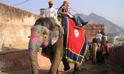 29 Interesting Facts about Indian Elephants - World's Facts