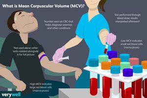 Mean Corpuscular Volume (MCV) Blood Test: Overview and More