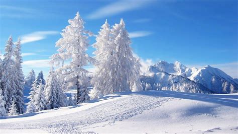 Winter Snow Landscape Wallpapers - Top Free Winter Snow Landscape ...