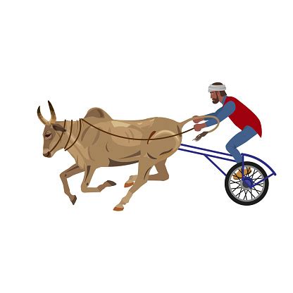 Bullock Cart Race Stock Illustration - Download Image Now - iStock