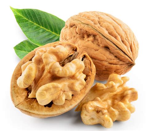 Walnut - Nutrition Facts, Calories, Carbs, Protein & Health Benefits