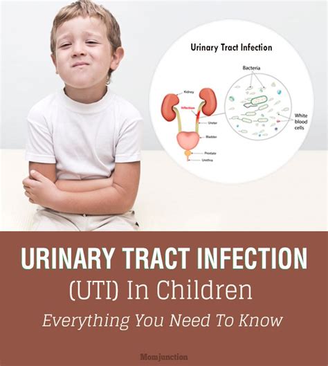 56 Best Of What Are The Symptoms Of Urinary Tract Infection In Babies - insectza