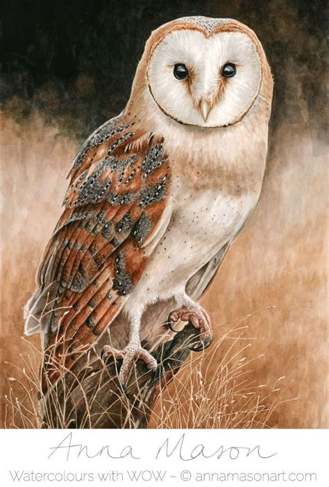 I started this challenging barn owl painting with the stunning, glassy eyes first. | Barn owl ...