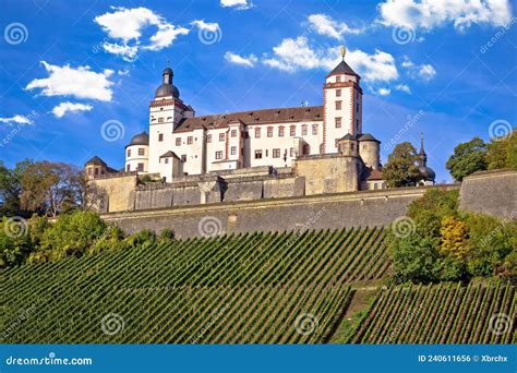 Scenic Wurzburg Castle and Vineyard Hill View Stock Photo - Image of cityscape, mirror: 240611656