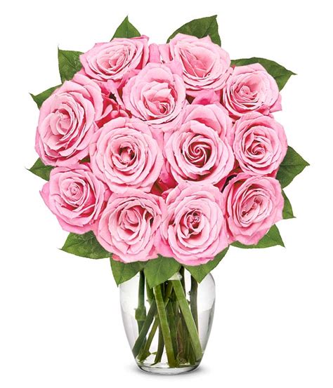 Classic Light Pink Rose Bouquet at From You Flowers