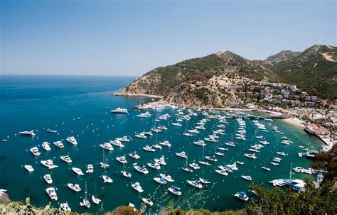 Avalon Harbor - California Beaches