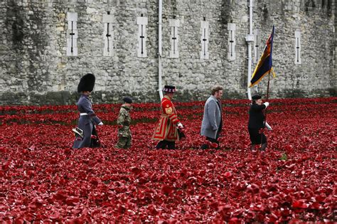 Remembrance Day Poppy Field