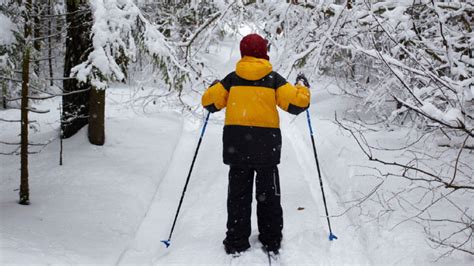 Denali's Fun and Family-Friendly Winter Activities | TravelAge West