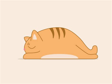 Fat cat sleeping by Nicole呢 on Dribbble